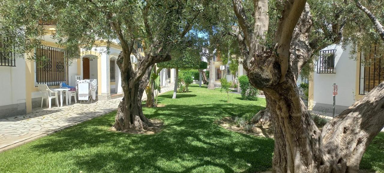 Apartamento Primera Linea De Playa Las Marinas 维拉 外观 照片
